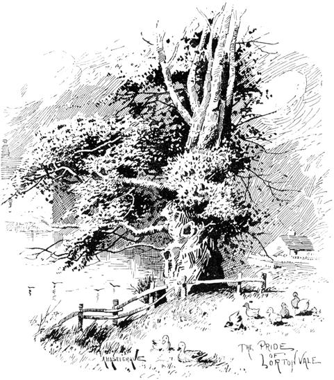 Lorton Yew by Haselgrave in Bogg 1898